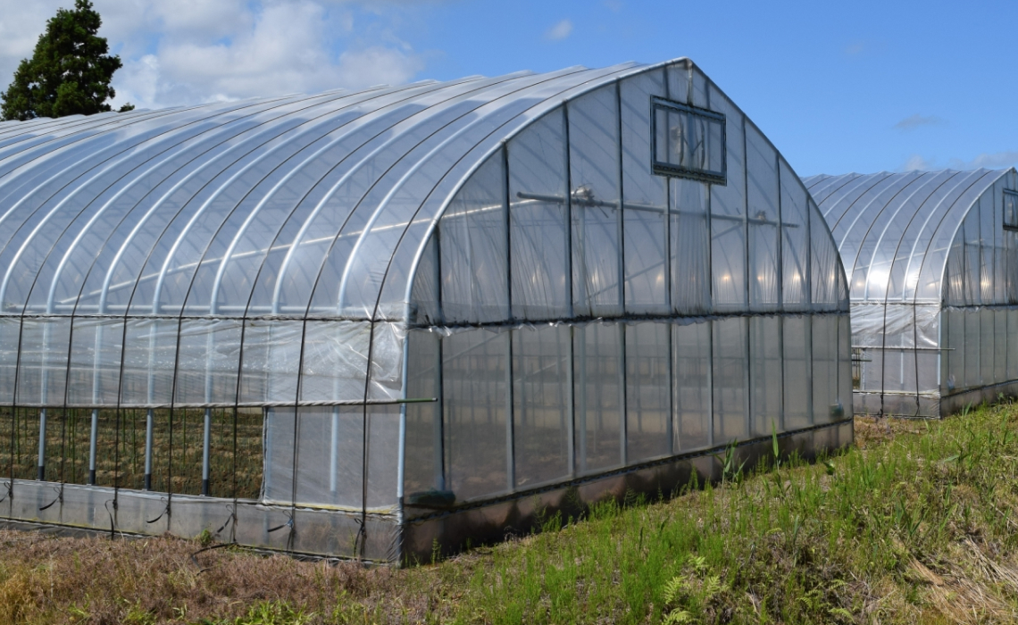 ビニールハウス