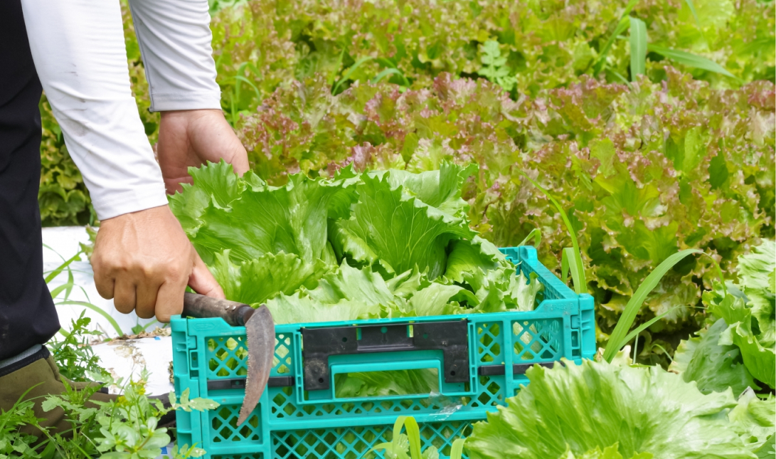 農業を“始められる人”から、“選ばれる人”へ。